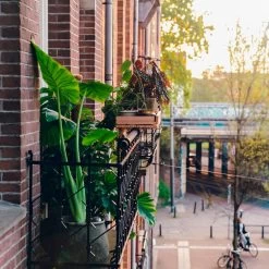 Balkonplank Bamboe, Voor Ronde Reling -Bekend Tuinmeubel Winkel balkonplank bamboe 10