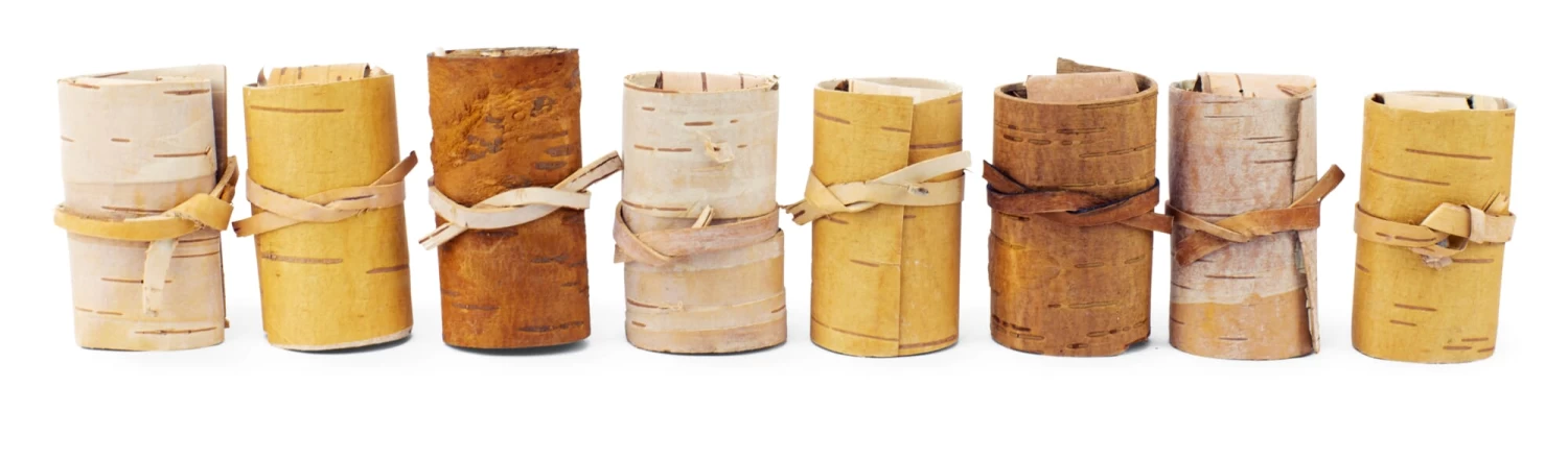 Berkenbast Aansteker 8 Berkenbast Aansteker - Afbeelding 8