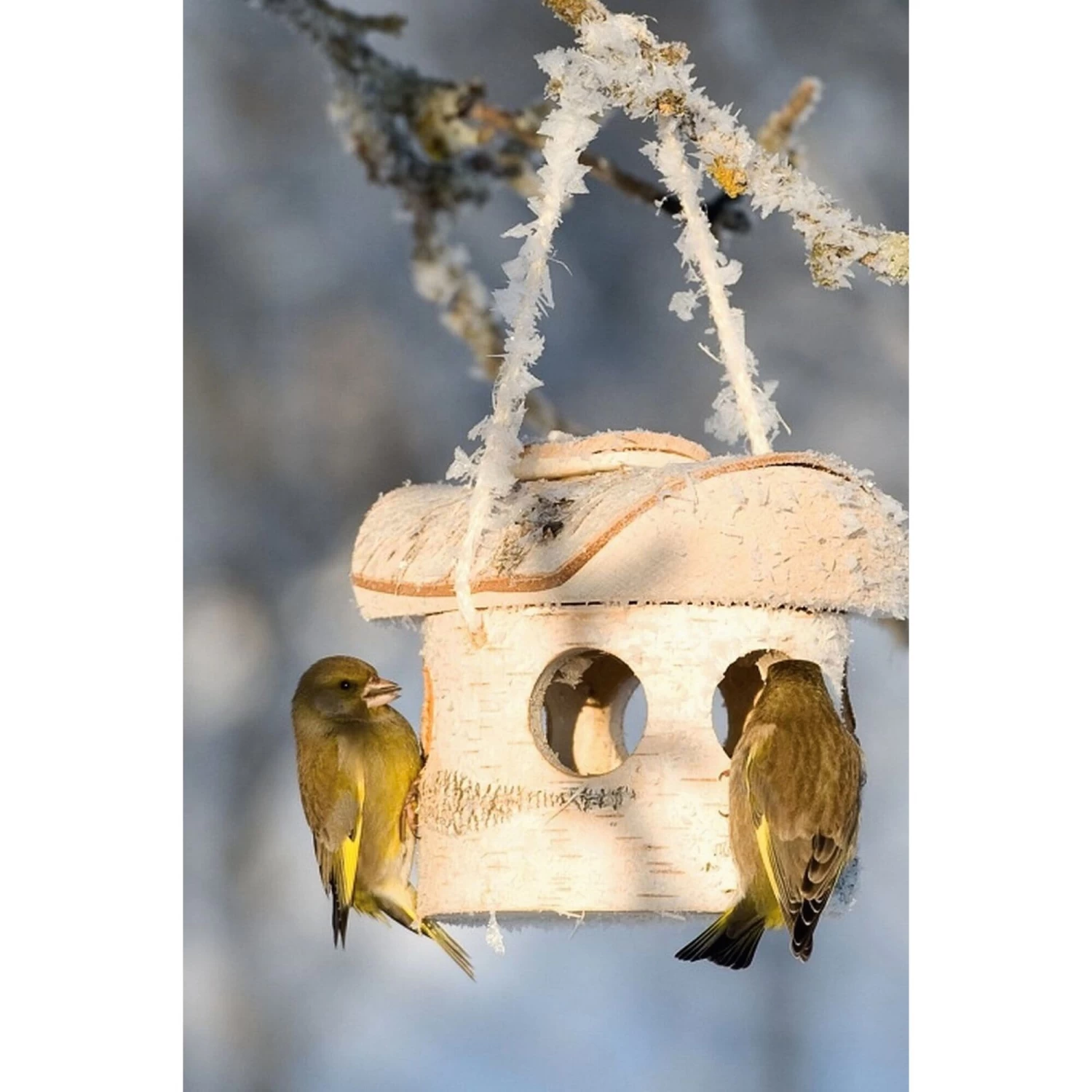 Berkenhouten Voederbak 6 Berkenhouten Voederbak - Afbeelding 6