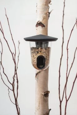 Bird Feeder FeedR 15 Bird Feeder FeedR -Bekend Tuinmeubel Winkel bird feeder feedr 6