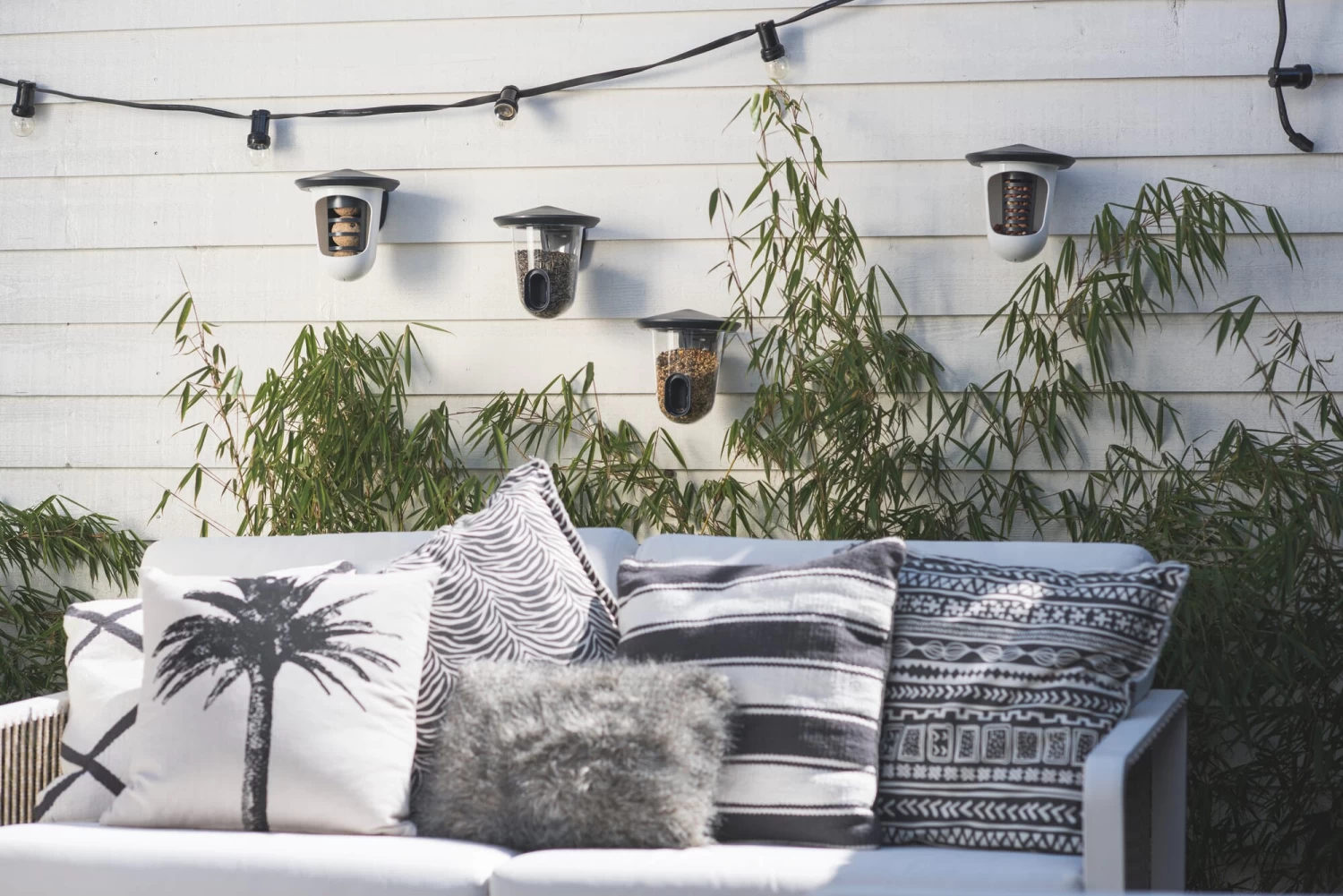 Bird Feeder FeedR 9 Bird Feeder FeedR - Afbeelding 9