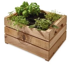 Bloembak Van Wijnvaten -Bekend Tuinmeubel Winkel bloembak wijnvaten 4