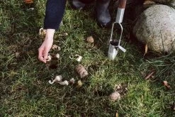Bloembollen Plantenbak Roestvrij Staal 9 Bloembollen Plantenbak Roestvrij Staal -Bekend Tuinmeubel Winkel bloembollen plantenbak roestvrij staal 3
