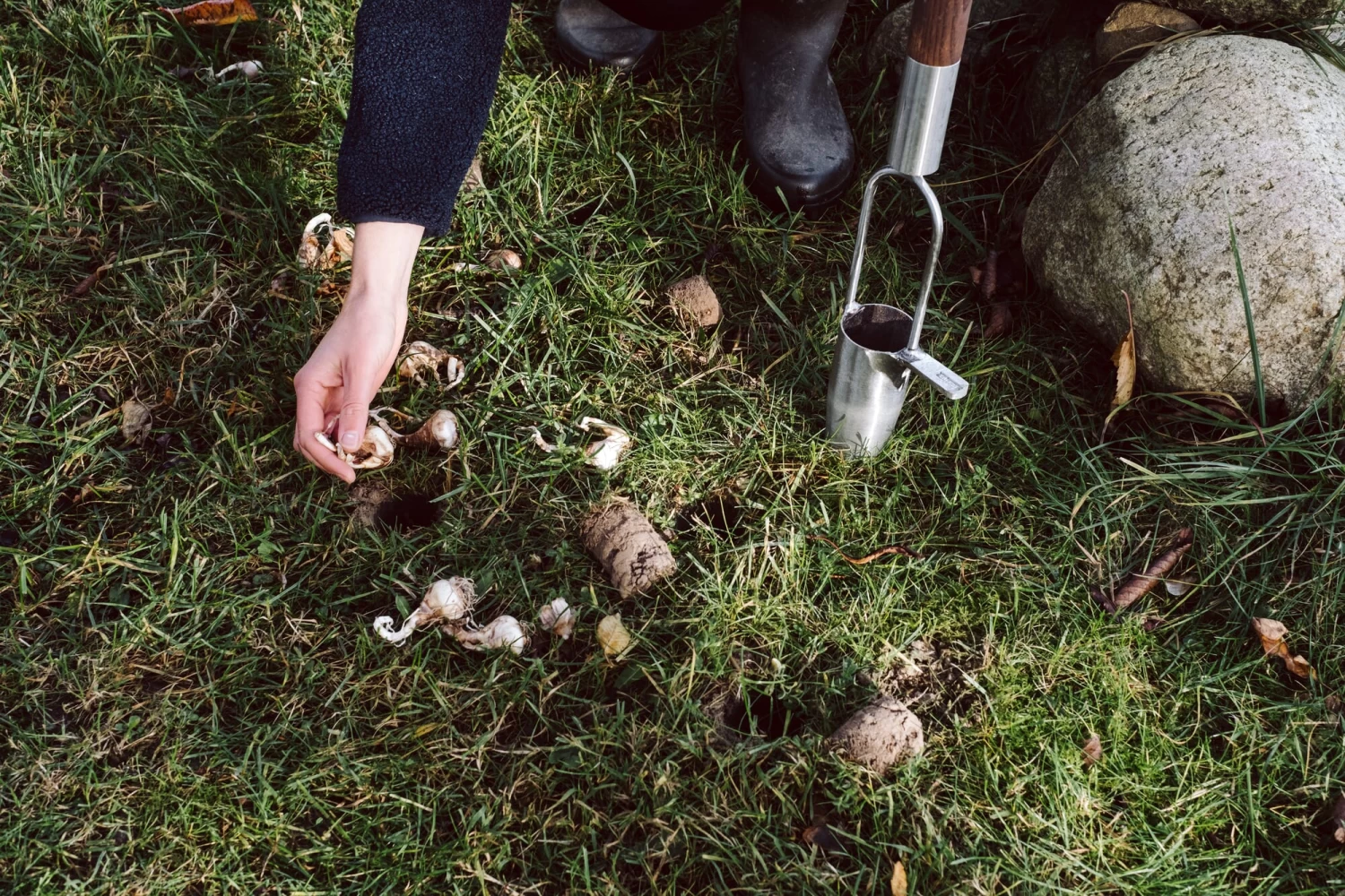Bloembollen Plantenbak Roestvrij Staal 4 Bloembollen Plantenbak Roestvrij Staal - Afbeelding 4