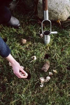 Bloembollen Plantenbak Roestvrij Staal 10 Bloembollen Plantenbak Roestvrij Staal -Bekend Tuinmeubel Winkel bloembollen plantenbak roestvrij staal 4