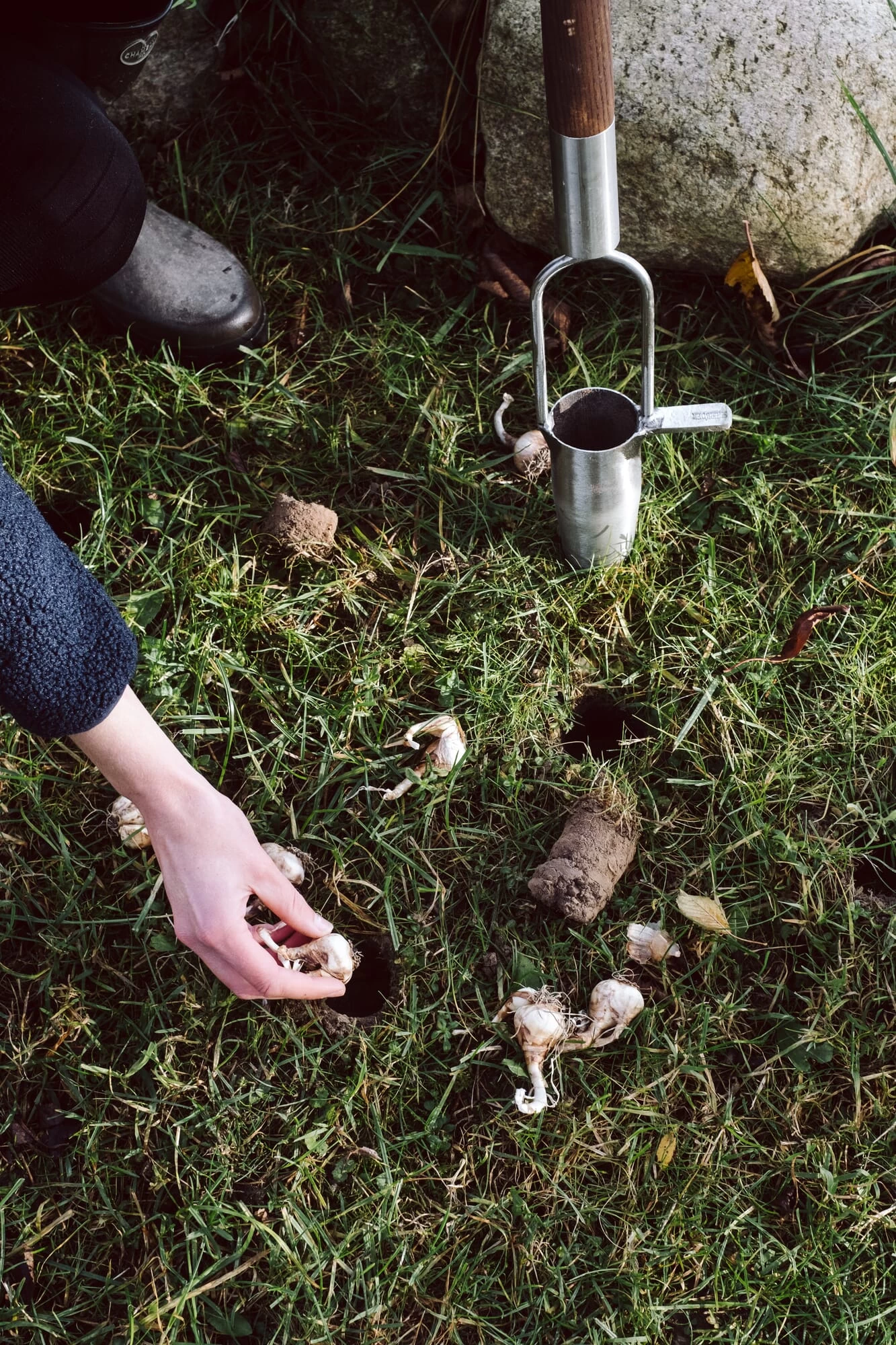 Bloembollen Plantenbak Roestvrij Staal 5 Bloembollen Plantenbak Roestvrij Staal - Afbeelding 5