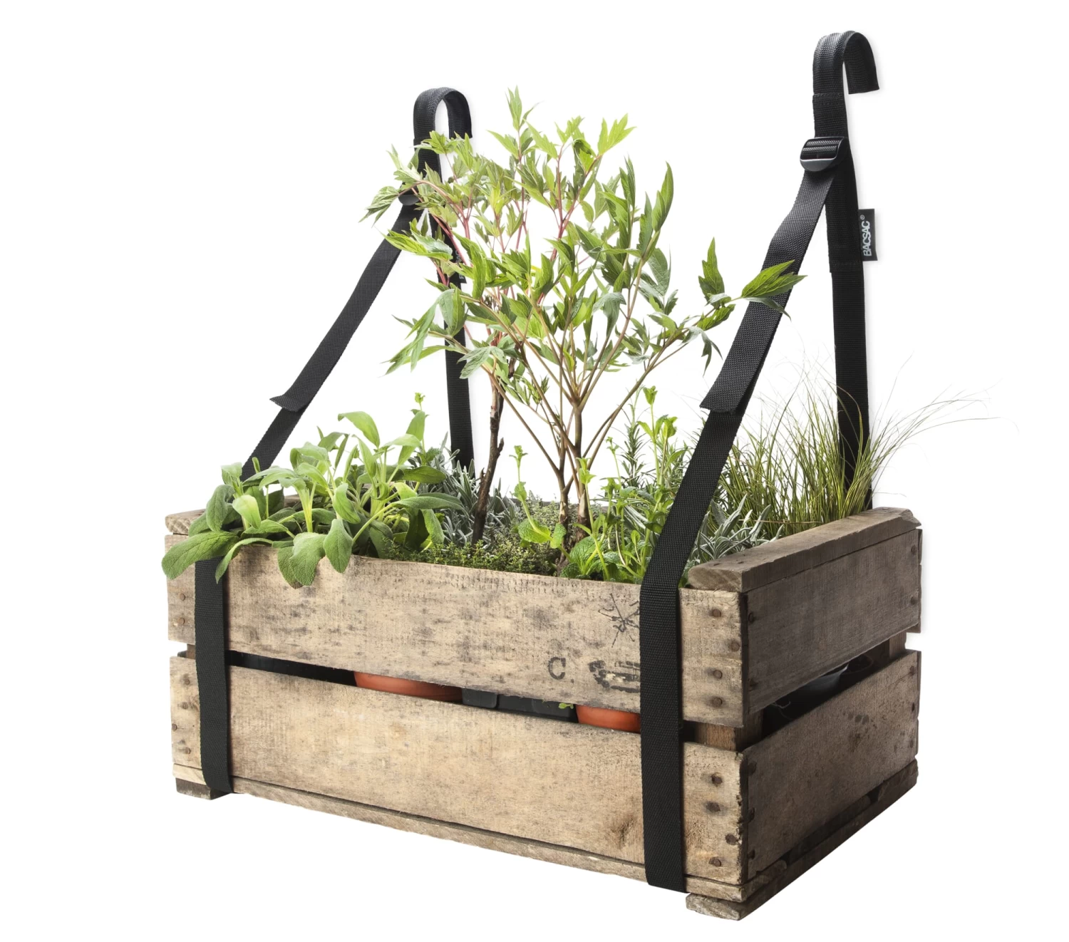 Draagriem Balkondoos 3 Draagriem Balkondoos - Afbeelding 3