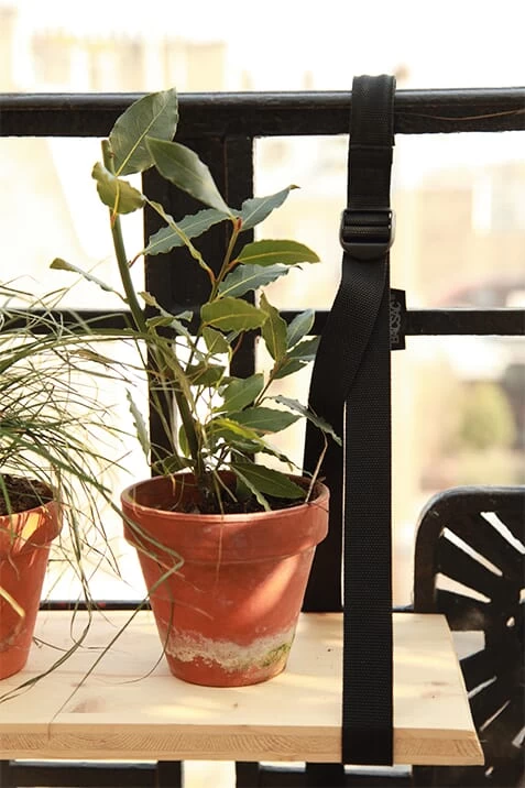 Draagriem Balkondoos 5 Draagriem Balkondoos - Afbeelding 5