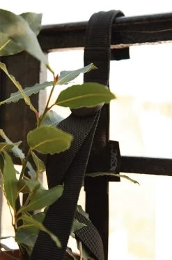 Draagriem Balkondoos 11 Draagriem Balkondoos -Bekend Tuinmeubel Winkel draagriem balkondoos 5