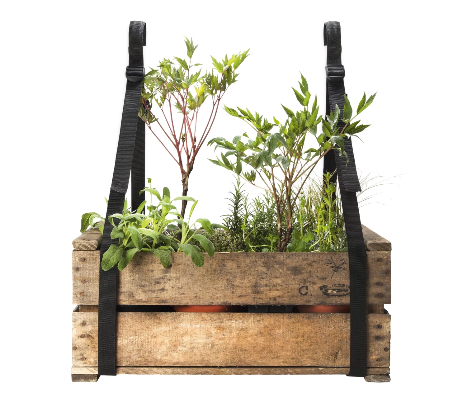 Draagriem Balkondoos 1 Draagriem Balkondoos