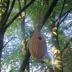 Eekhoornnest Rietgras -Bekend Tuinmeubel Winkel eekhoornnest rietgras 4