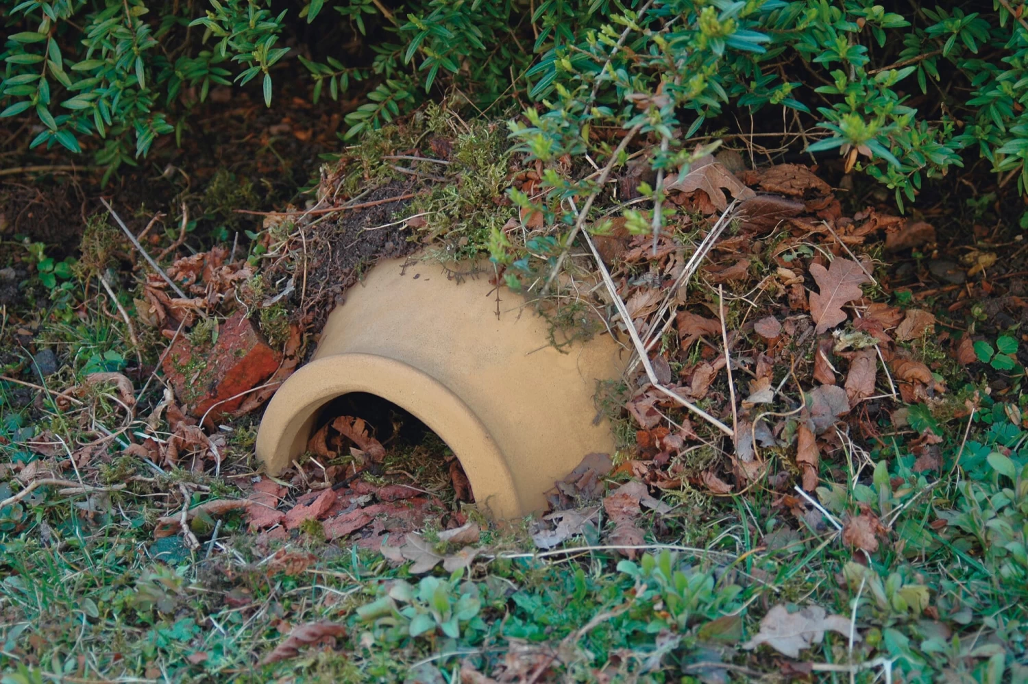 Egelhuis Keramisch 2 Egelhuis Keramisch - Afbeelding 2