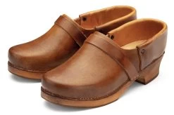 Frans Klompenleer, Bruin