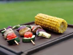 Gietijzeren Vuurkorf -Bekend Tuinmeubel Winkel gietijzeren vuurkorf 5