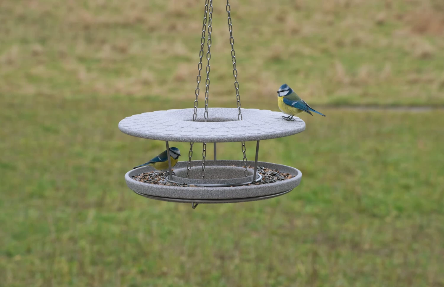 Granieten Keramisch Voederhuis 7 Granieten Keramisch Voederhuis - Afbeelding 7
