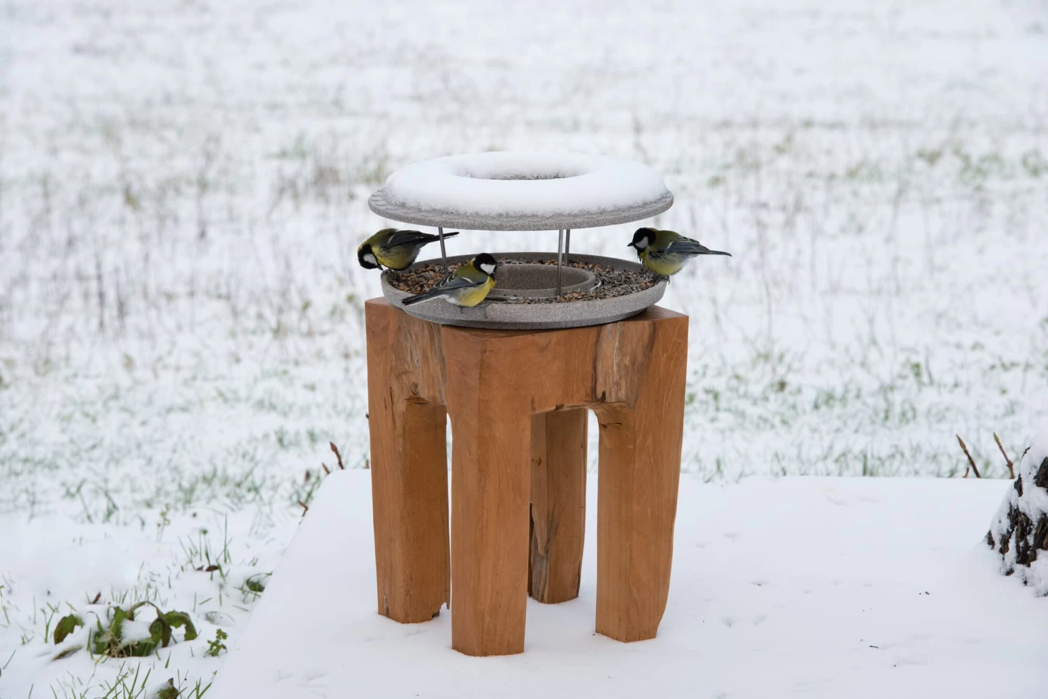 Granieten Keramisch Voederhuis 8 Granieten Keramisch Voederhuis - Afbeelding 8
