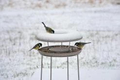 Granieten Keramisch Voederhuis 17 Granieten Keramisch Voederhuis -Bekend Tuinmeubel Winkel granieten keramisch voederhuis 8