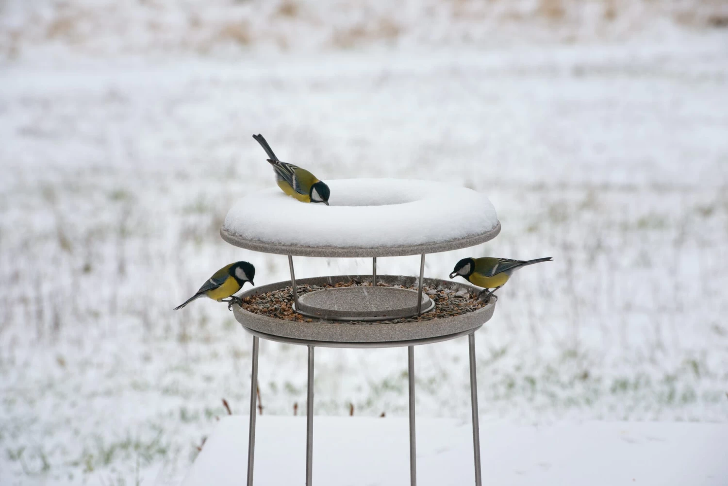 Granieten Keramisch Voederhuis 9 Granieten Keramisch Voederhuis - Afbeelding 9