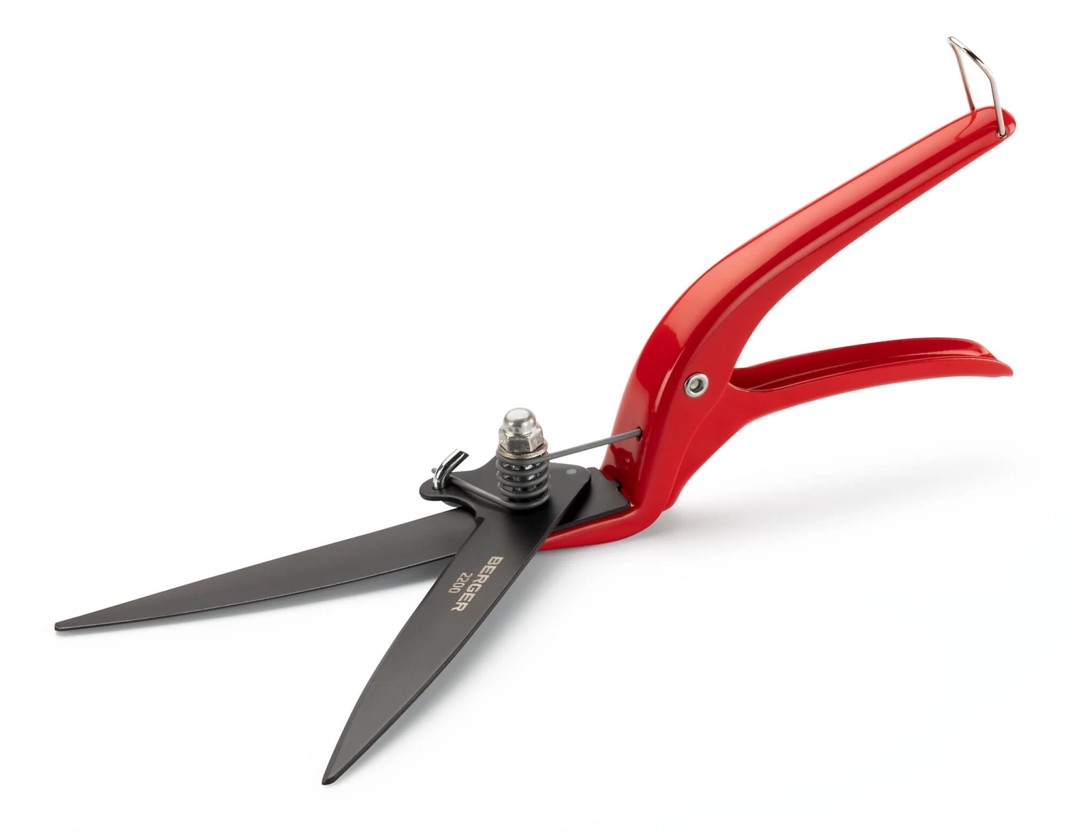 Graskantschaar 2 Graskantschaar - Afbeelding 2