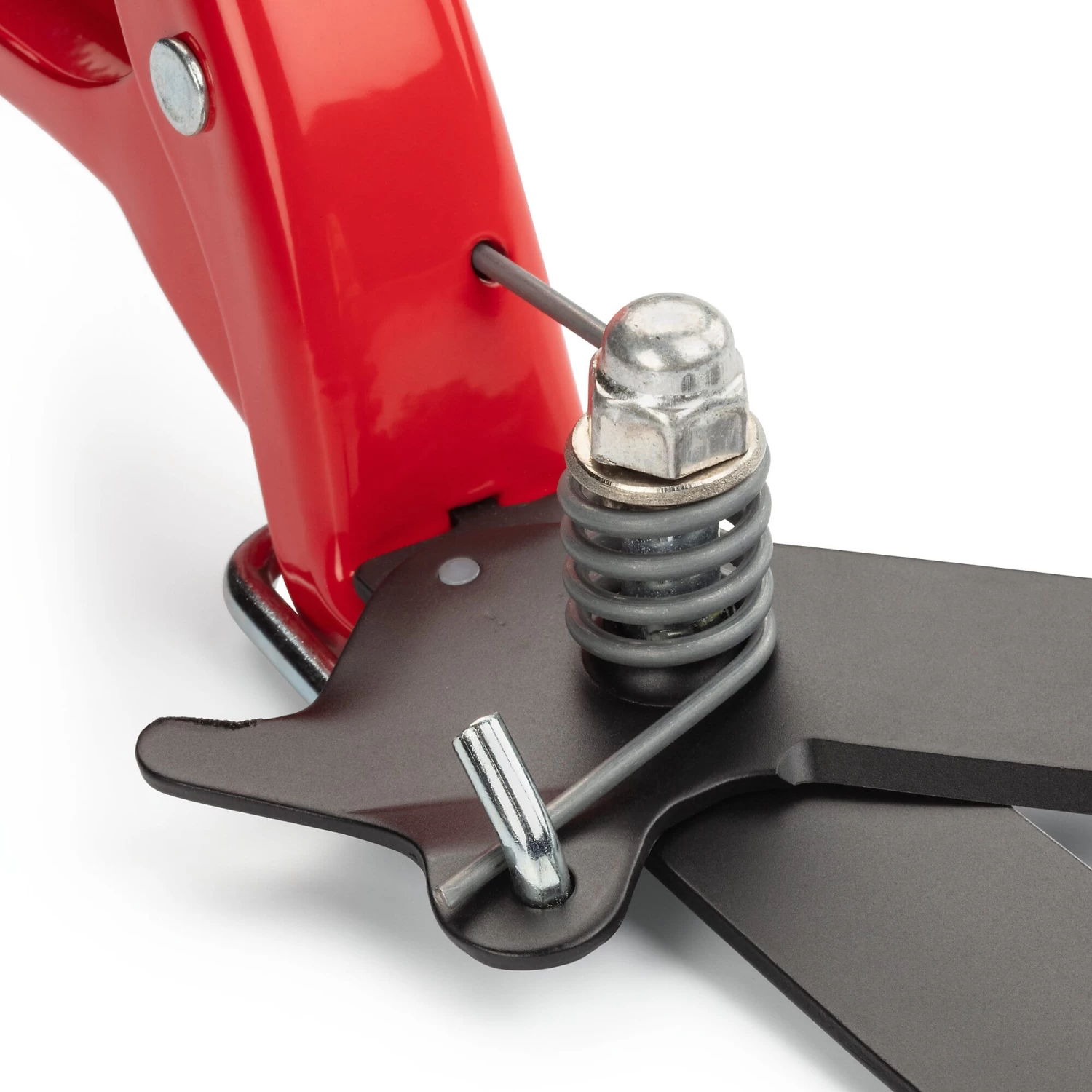 Graskantschaar 3 Graskantschaar - Afbeelding 3