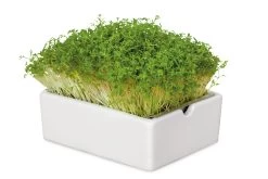 Groei Set Microgreens