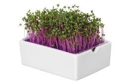 Groei Set Microgreens -Bekend Tuinmeubel Winkel groei set microgreens 7
