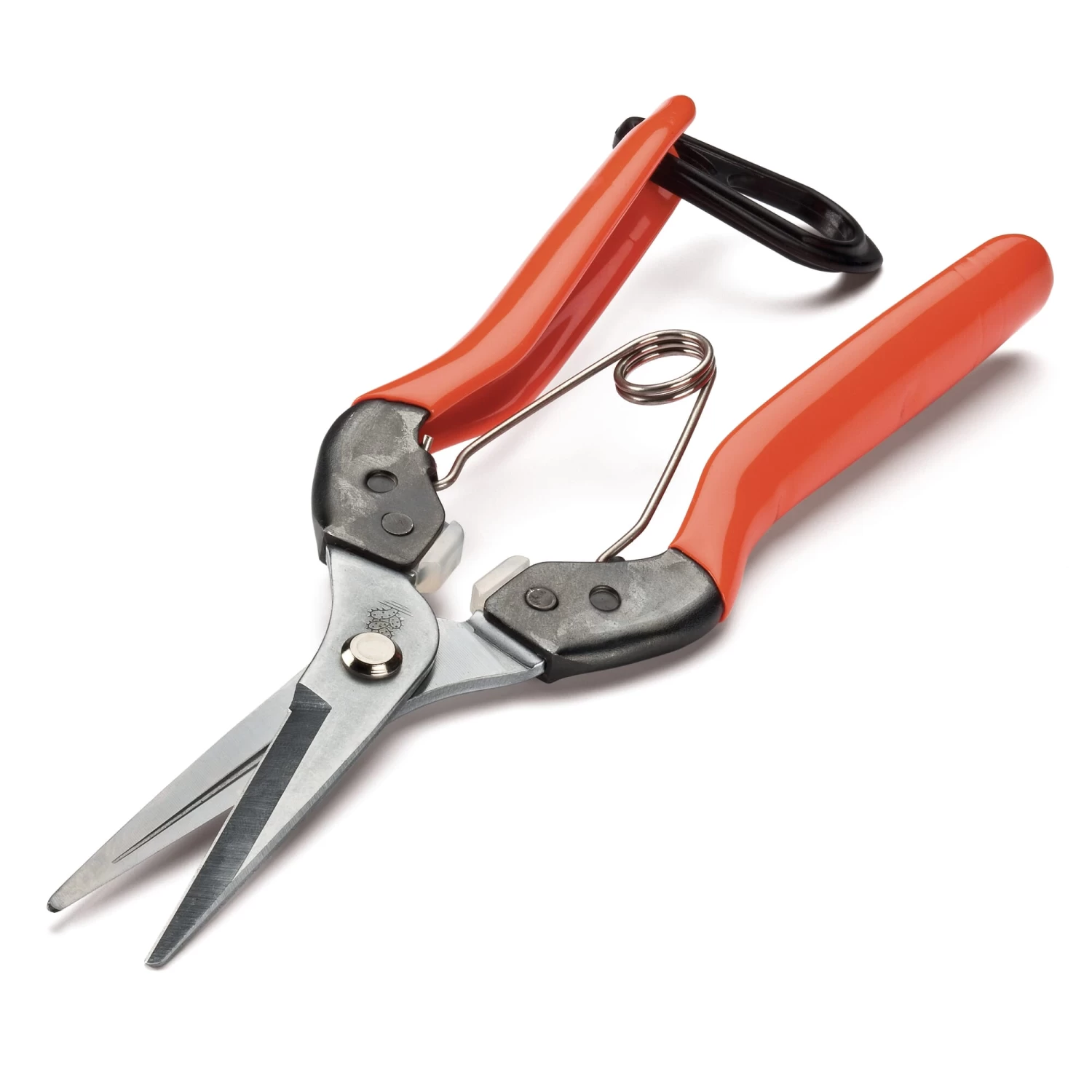 Japanse Bloemen- En Huishoudschaar 1 Japanse Bloemen- En Huishoudschaar