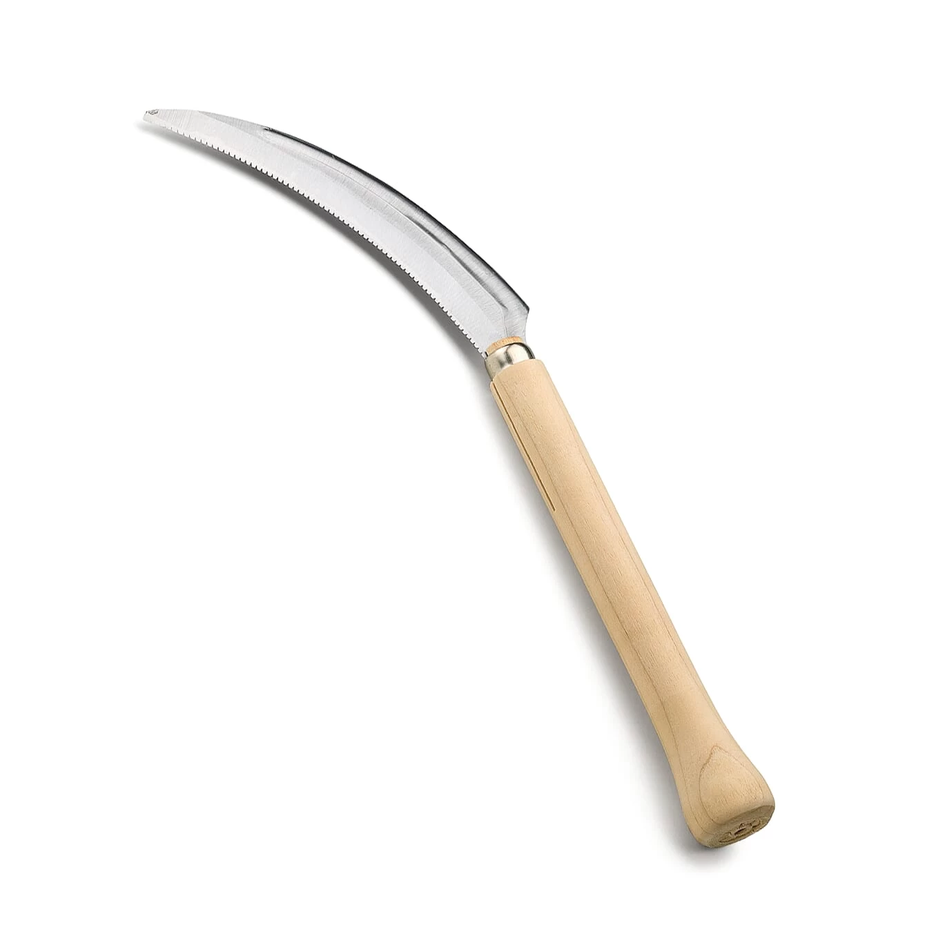 Japanse Vaste Planten Sikkel 1 Japanse Vaste Planten Sikkel