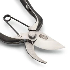 Kleine Japanse Roosenschaar -Bekend Tuinmeubel Winkel kleine japanse roosenschaar 2