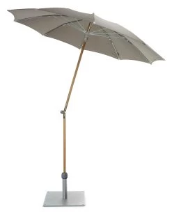 Kleine Parasol Essenhout, Steengrijs