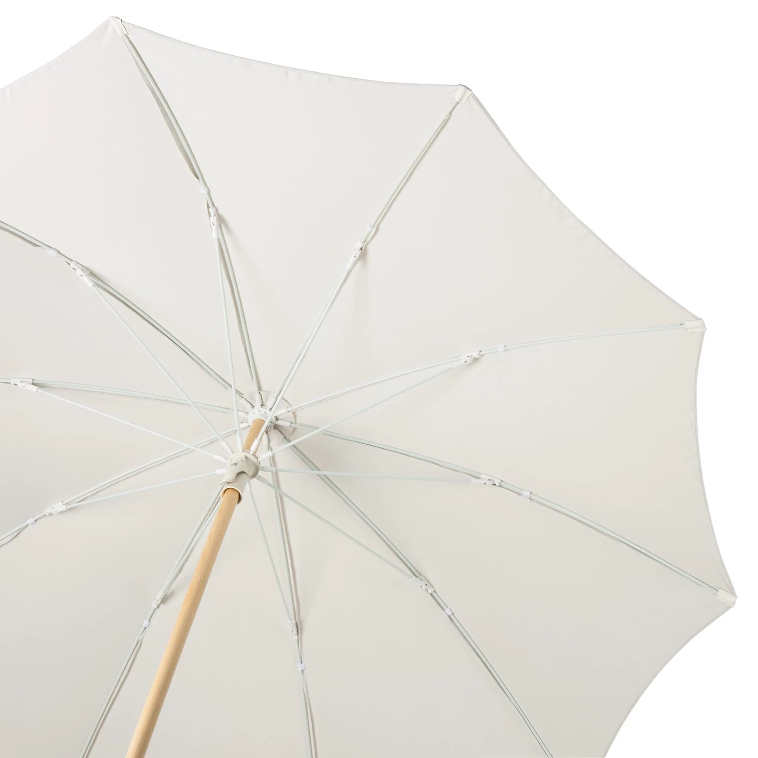 Kleine Parasol Essenhout, Natuur 2 Kleine Parasol Essenhout, Natuur - Afbeelding 2