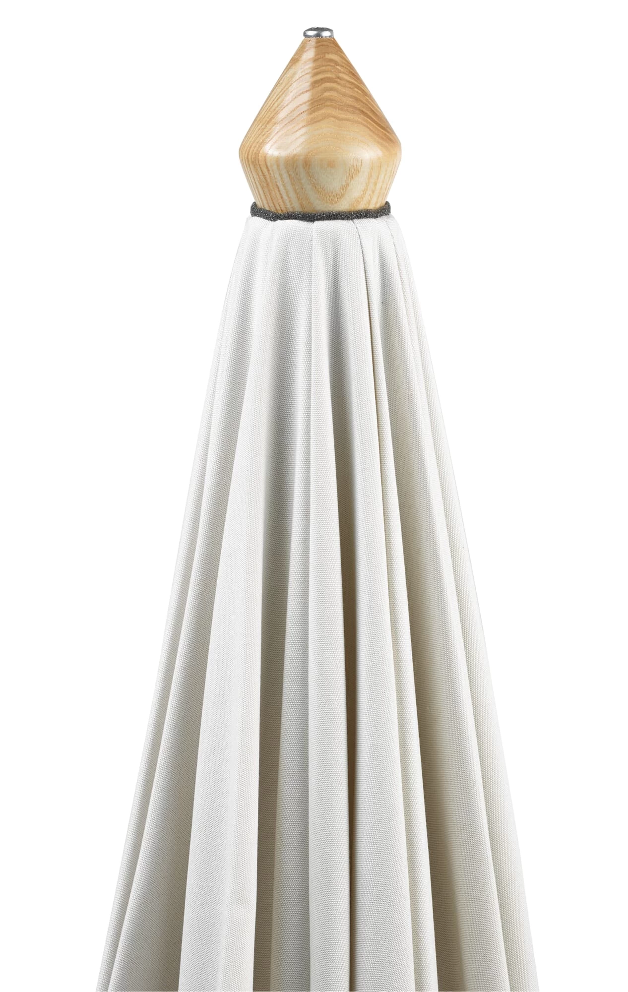 Kleine Parasol Essenhout, Natuur 4 Kleine Parasol Essenhout, Natuur - Afbeelding 4