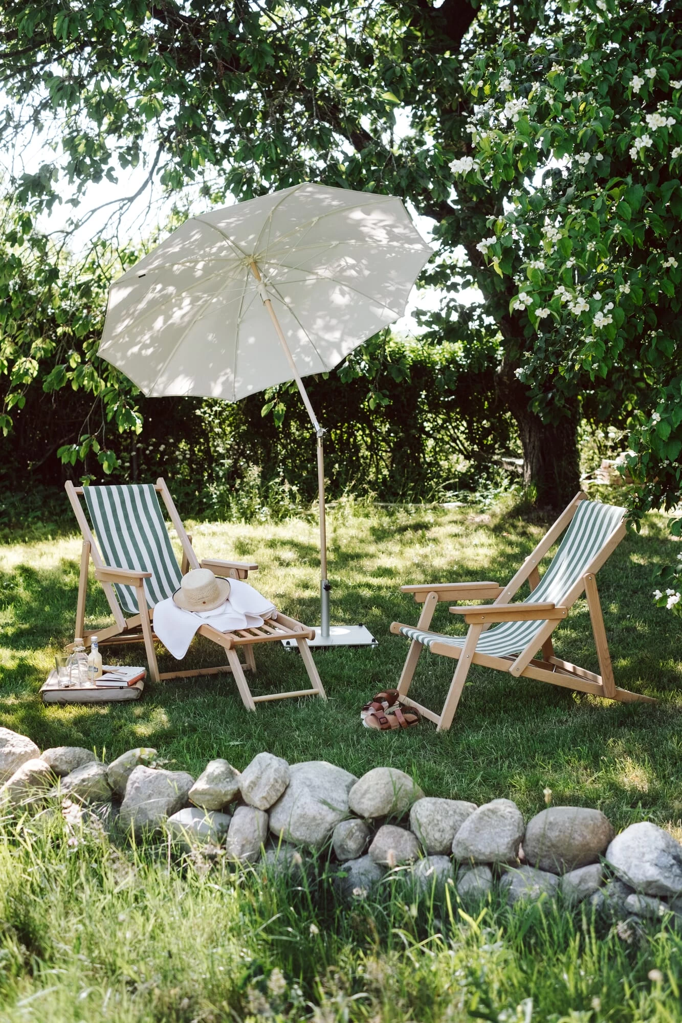 Kleine Parasol Essenhout, Natuur 6 Kleine Parasol Essenhout, Natuur - Afbeelding 6