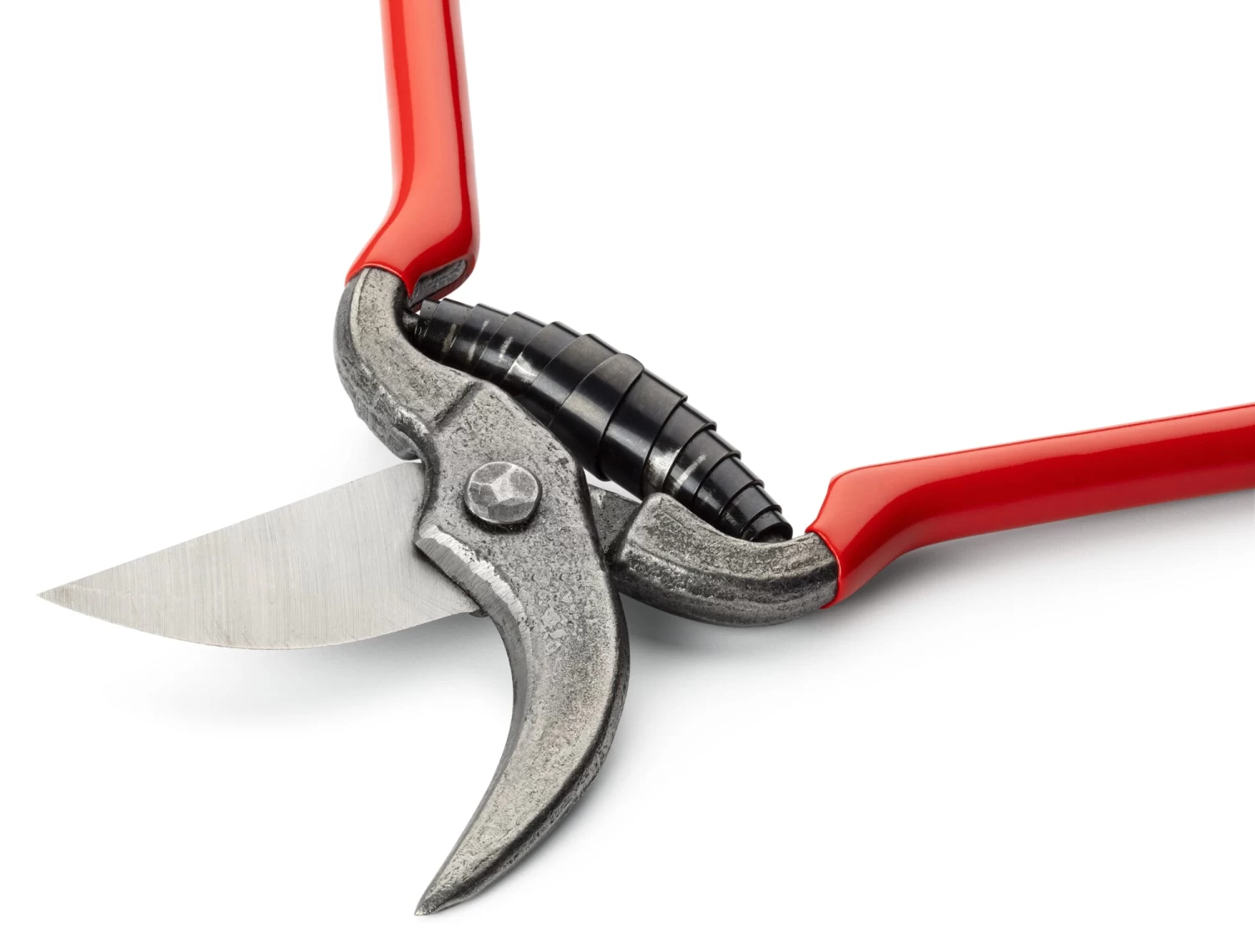 Kleine Tuinschaar 2 Kleine Tuinschaar - Afbeelding 2