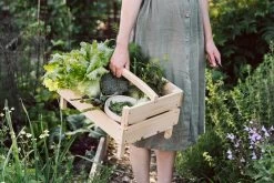 Kleine Tuinschaar 7 Kleine Tuinschaar -Bekend Tuinmeubel Winkel kleine tuinschaar 3