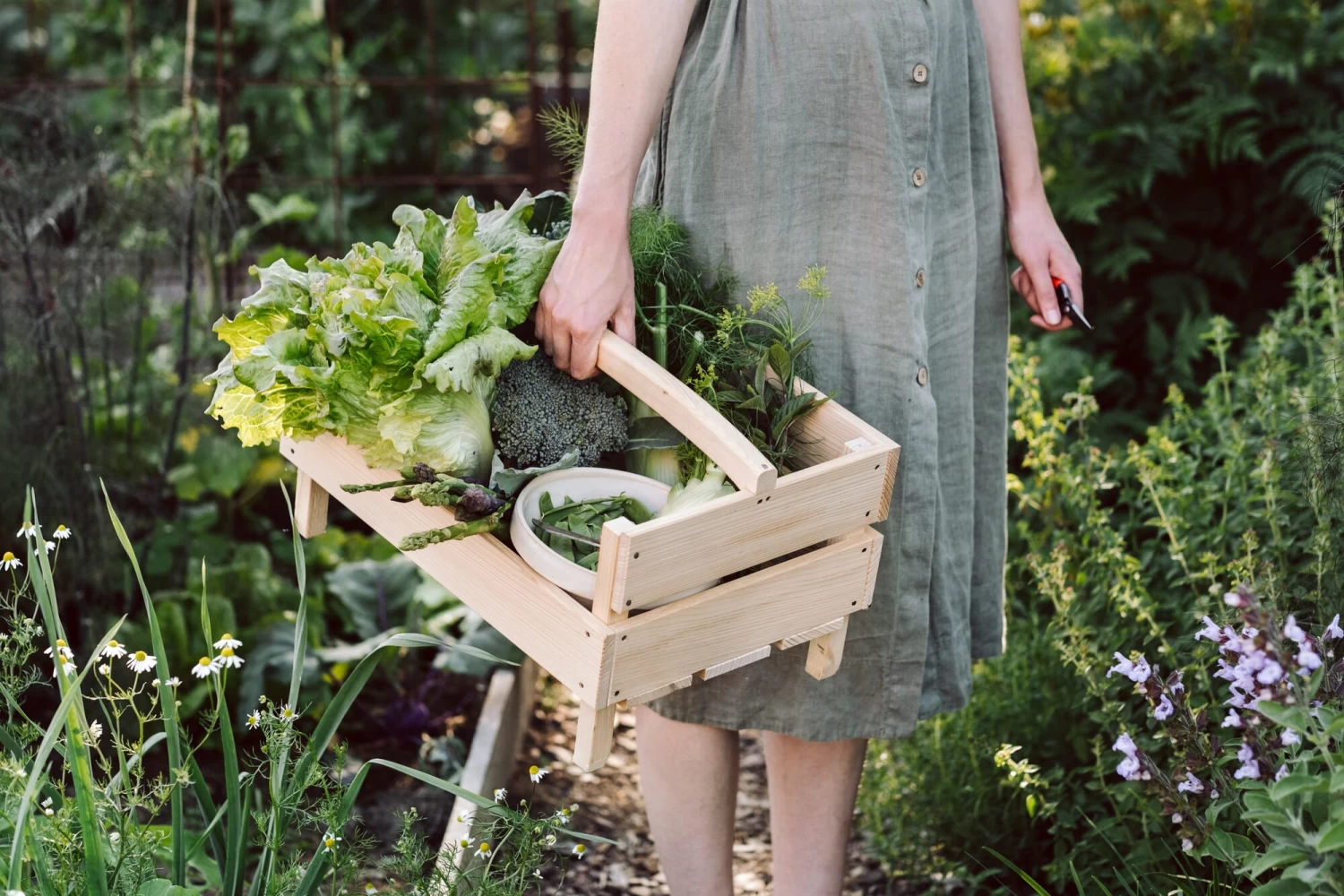 Kleine Tuinschaar 4 Kleine Tuinschaar - Afbeelding 4