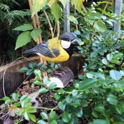 Koolmees Hand Gesneden Lindehout -Bekend Tuinmeubel Winkel koolmees hand gesneden lindehout 4