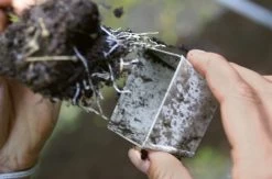 Kweekplaat Met Individuele Potten, Breed -Bekend Tuinmeubel Winkel kweekplaat individuele potten 3