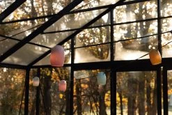 Lichtsnoer Stringlight, Meerkleurig -Bekend Tuinmeubel Winkel lichtsnoer stringlight 8