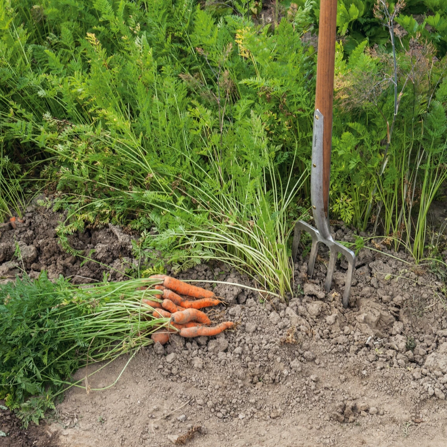 Manufactum Graafvork Roestvrij Staal 3 Manufactum Graafvork Roestvrij Staal - Afbeelding 3