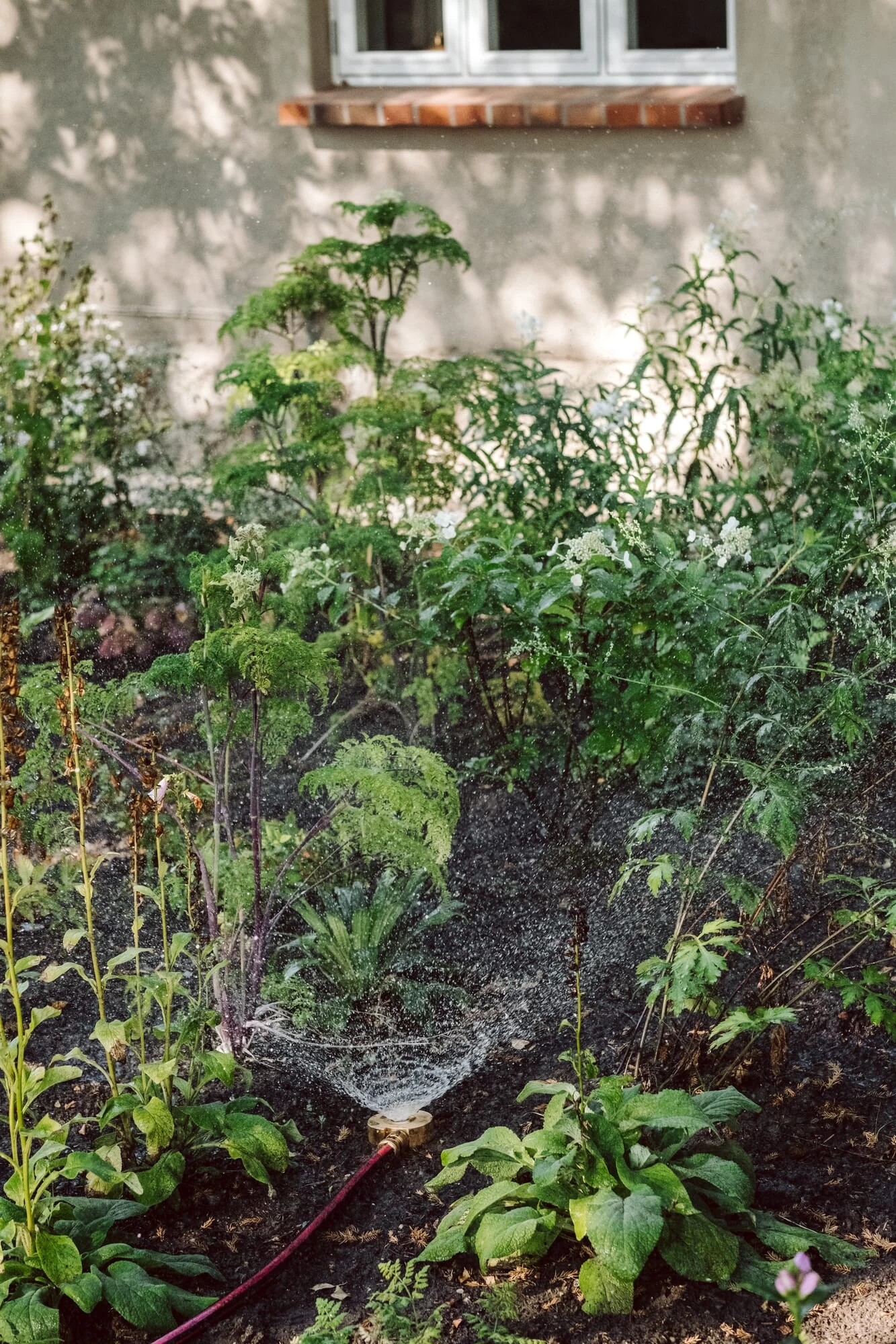 Manufactum Vloersproeier Messing Gedraaid 4 Manufactum Vloersproeier Messing Gedraaid - Afbeelding 4