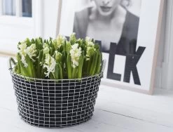 Metalen Mand Korbo -Bekend Tuinmeubel Winkel metalen mand korbo 2