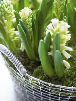 Metalen Mand Korbo -Bekend Tuinmeubel Winkel metalen mand korbo 3