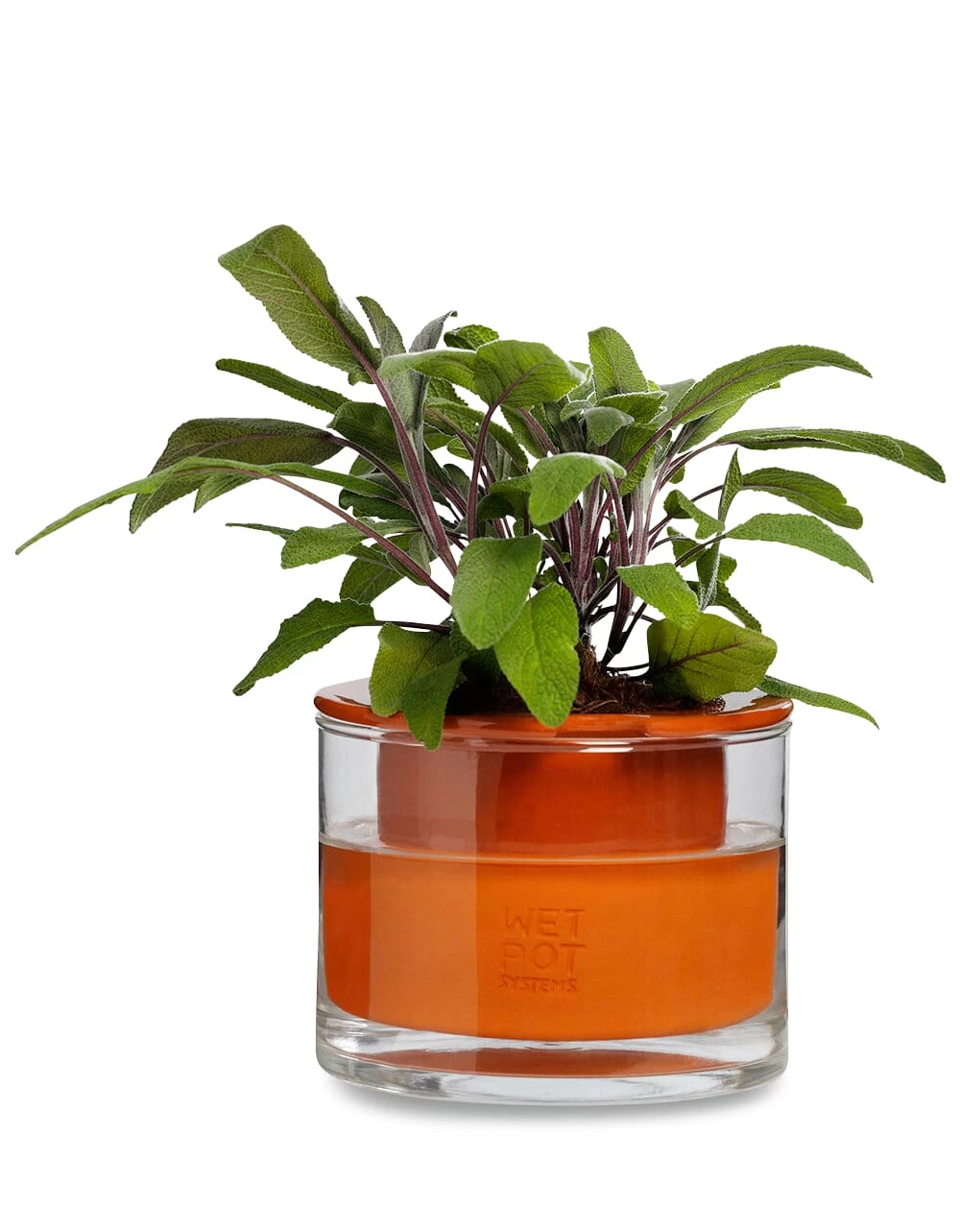 Natte Pot Systemen Planter, Ø 12 Cm 1 Natte Pot Systemen Planter, Ø 12 Cm