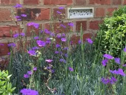 Nesthulp Bijensteen®, Lichtgrijs -Bekend Tuinmeubel Winkel nesthulp bijensteen 8