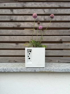 Nesthulp En Plantenbak Bijenpot, Klein 7 Nesthulp En Plantenbak Bijenpot, Klein -Bekend Tuinmeubel Winkel nesthulp plantenbak bijenpot 2