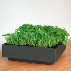 Plantelement Voor Wandmontage -Bekend Tuinmeubel Winkel plantelement wandmontage 2