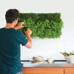 Plantelement Voor Wandmontage -Bekend Tuinmeubel Winkel plantelement wandmontage 3