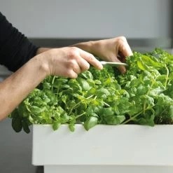 Plantelement Voor Wandmontage -Bekend Tuinmeubel Winkel plantelement wandmontage 4