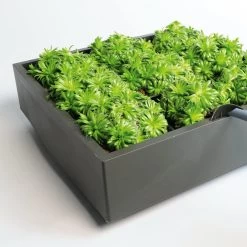 Plantelement Voor Wandmontage -Bekend Tuinmeubel Winkel plantelement wandmontage 5